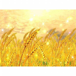 5D-teemantmaal S&uuml;gismaastikupuu t&auml;is&uuml;mmargune teemanttikandid 20X30CM