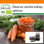 SAFLAX - Aed kotis - Mahe - Porgand - S&uuml;giskuningas - 1000 seemet - Substraadiga sobivas p&uuml;stijas kotis - Daucus carota