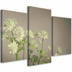 Kolmeosalise pildiga l&otilde;uenditr&uuml;kk Field Flowers White 60x40 hall v&auml;rv