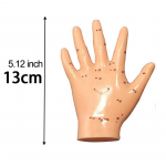 13 cm k&auml;te n&otilde;elravi mudel Akupunkti mudel peegeldusala massaaž k&auml;te mudel selge kirjaga &otilde;petus 13CM Hand