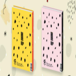 TWICE &ndash; 1. erialbum [TWICECOASTER : RADA 2] RANDOM VERSION