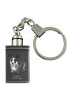 Cardigan Welsh Corgi I - Crystal key ring with dog photo, illuminated key ring, unique gift by Art-Dog brand
