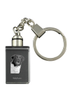 Stabyhoun, Stabijhoun, Fryske Stabij - Crystal key ring with dog photo, illuminated key ring, unique gift by Art-Dog brand puhas