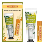 Burt's Bees Rosmariini ja sidruni k&auml;tekreem ja huulepalsam yellow