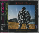 CD PINK FLOYD - Delicate Sound Of Thunder 42DP52945 CBS/Sony 1988 Jaapan Rock Kasutatud