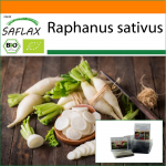 SAFLAX - Aed kotis - Orgaaniline - Redis - Pikk valge j&auml;&auml;purikas - 100 seemet - Substraadiga sobivas p&uuml;stises kotis - Raphanus sativus
