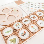 Puidust Montessori olelusringi kandik varajase &otilde;ppe m&auml;nguasi, hariv sobitamism&auml;ng lastele