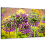 L&otilde;uenditr&uuml;kk K&uuml;&uuml;slaugutaimed Purple 60x40 lilla