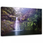 L&otilde;uenditr&uuml;kk Waterfall Forest Nature 60x40 roheline