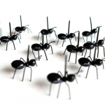 12 tk Sipelgate hambaorkid Puuviljade magustoidukahvel Korduvkasutatav sipelgatoidukork Loomade eelroa kahvlid suupistekoogi magustoidu jaoks 12pcs must