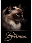 Armas kassit&otilde;ug Ojos Azules Ocicat Minskin portreeplakat L&otilde;uend maalimine Loom Lemmik Sein Pilt Elutoa Kodukaunistus 21x30cm No Frame