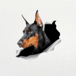 Dobermani koera isekleepuv autokleebis Veekindlad autodekoratsioonid 20cm-Longest Side