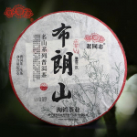 2022 Haiwan Zhang Jia San Dui Puer tee Bulang Mountain Sheng Puerh 500g
