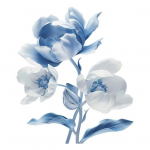 Sinise lillega tualettruumi kleebis Eemaldatav isekleepuv veekindel PVC elutuba Vannitoa seinakunst lilleline tualettruumi kaane kaunistuskleebis sinine