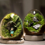 Mikroklaaspudel Moss Bottle Desktop Dekoratiivne loominguline pudeli ornament B valge