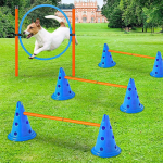 Koerte agility treeningkomplekt: H&uuml;ppering, Vardad ja Kudumisvardad