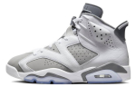 Air Jordan 6 Retro 'Cool Grey' CT8529-100 42.5