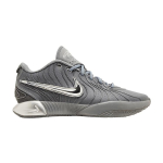 Nike LeBron 21 EP 'Resilience' 40.5 gray