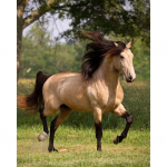 5D Teemantmaal T&auml;is&uuml;mmargune puur Ristpistes K&auml;sit&ouml;&ouml;maali Tikkimine K&auml;sit&ouml;&ouml; Rhinestone Mosaiic Kingitus Mosaiikkaunistused Avaleht 15x20CM