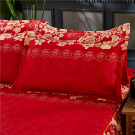 Paar padjakatteid t&auml;iskasvanud paaridele &uuml;hele pluss suurusega paksendatud &uuml;li&otilde;pilaste &uuml;hiselamu padjas&uuml;damiku kate