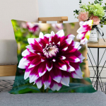 Dahlia lilledega padjap&uuml;&uuml;r Magamistoa Kodukontor Dekoratiivne padjap&uuml;&uuml;r Ruudukujuline Pehme Padjap&uuml;&uuml;r 40x40cm