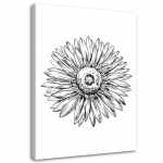 Feeby l&otilde;uenditr&uuml;kk, lillevisand 40x60 must/valge