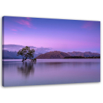L&otilde;uenditr&uuml;kk Landscape Tree Purple 60x40 lilla