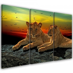 Kolmeosalise pildiga l&otilde;uendiprint Lion Savanna Africa Nature 60x40 mitmev&auml;rviline