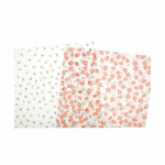4 feuilles de calques - couleurs naturelles