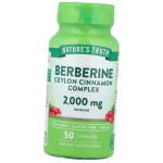 Berberiini ja t&scaron;illipipra kompleks, Berberine Ceylon Cinnamon Complex, Nature's Truth 50 kaps (72509013) 50kaps