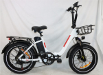 2026 Uus E-jalgratas BLJ DZ-2030 500W Mootor 48V 16AH Aku, Alumiiniumisulamist Raam, 20-tollised Paksud Rehvid, Linnas&otilde;iduks M&otilde;eldud Elektrijalgratas. 500W 48V 16AH (Fold)