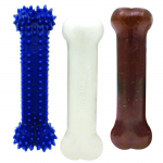 Nylabone Kit pour chiot: Animalerie