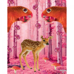 &Uuml;mmargune teemantmaaling Papagoi Hirve tikandid Ristpistes Rhinestone Mosaiic Kodukaunistus 20X30CM