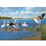 T&auml;is&uuml;mmargune mosaiik isetehtud 5D teemanttikandid lind Pelicans teemantmaal ristpistes kivid 20X30CM
