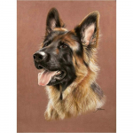 5D DIY Teemantmaali koer Ristpistes Mosaiik Teemanttikandid Roos T&auml;is&uuml;mmargune/ruudukujuline puur Kodukaunistus Round 20x30cm