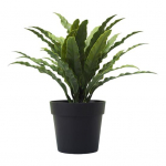 Simulatsioon bonsai Realistliku v&auml;limusega selged veenid pleekimiskindel, mitten&auml;rbumine keskkonnas&otilde;bralik erksav&auml;rviline plastik lilla