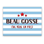 Les Tr&eacute;sors De Lily [A3623] &ndash; keraamiline magnet  Beau Gosse  sinine (isalt pojale) - 8x6 cm mitmev&auml;rviline