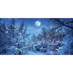 5D-teemantmaalikomplekt Kuu &Ouml;&ouml;maastik Kunst isetehtud teemanttikandid maastik ristpistes elutuba magamistoa sein kodukaunistus 30x60CM