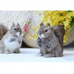 Kunstlikud seisvad oravad, skulptuurid koju, aeda, lastetuppa, kaunistus