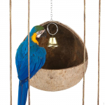 Kookosp&auml;hkli Linnupesa Onn Pesitsuspuur Dekor Aed Kaasaskantav Lemmiklooma Elupaik V&auml;ikeloomade Maja No coconut shred