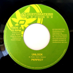 7-tolline plaat PERFECT - Ava IRIE01701 Irievibrations 2008 Saksamaa Reggae, Ska & Dub Kasutatud