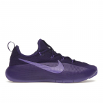 Nike LeBron TR 1 Purple Rain Unisex tossud Court-Purple Action-Grape FJ6151-500 44
