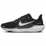 Nike Air Zoom Pegasus 41 Must Valge Tennised FD2722-002 40.5 must