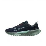 Nike Juniper Trail 2 GTX V2 Seaweed Mint Foam Clay Green Meeste Tossud Mint-Foam-Clay-Green HM9734-302 40.5