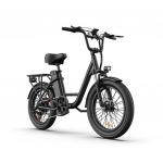 URLIFE-E20 20 x3 Paksude Rehvidega Elektrijalgratas 250W Mootor 48V 13AH Aku 80-100KM S&otilde;iduulatus Ideaalne T&ouml;&ouml;les&otilde;iduks ja Seiklusteks must