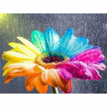 Teemantmaalimine Lilled Elutoa kaunistamine Teemanttikandid Flora N&auml;put&ouml;&ouml; K&auml;sit&ouml;&ouml; 20X30CM