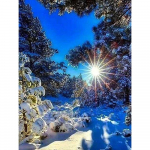 5D DIY Teemanttikandid Hundi ristpistes K&auml;sitsi valmistatud Kingitus Teemantmaali Loomade Lumi Rhinestone Kit Decor Kodu Full Round 20X30CM punane