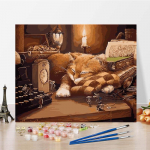 Numbrid &otilde;limaal Digitaalne &otilde;limaal DIY maalimine numbrite j&auml;rgi L&otilde;uend Kunst Kodukaunistus 40x50cm no frame