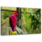 L&otilde;uendiprint Parrot Paradise Birds Nature 60x40 roosa