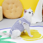 Cat Anti-licking Sterilization Suit Puppy Clothes Breathable Kitten Surgery Suit Weaning Pet Body Strap Vest roupa para cachorro S sinine